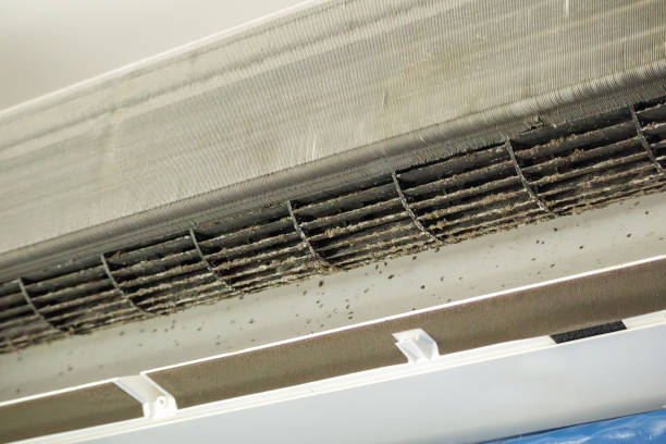 Best Local Air Duct Cleaning Services  in Elmwood Place, OH